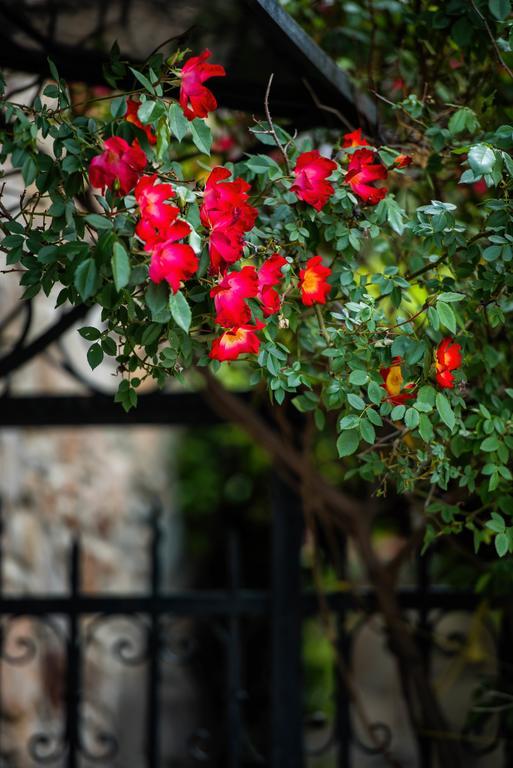 Villa Mulberry House Sithonia Esterno foto